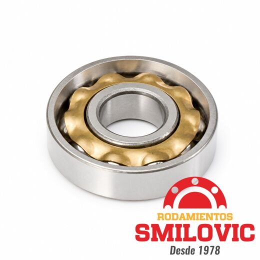 BO 15 Y/C6 STEYR 15x40x10 mm / 0.5906x1.5748x0.3937&quot;